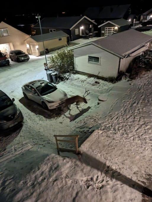 Koselig Leilighet Naer Bussholdeplass Og Natur. Tromsø Esterno foto